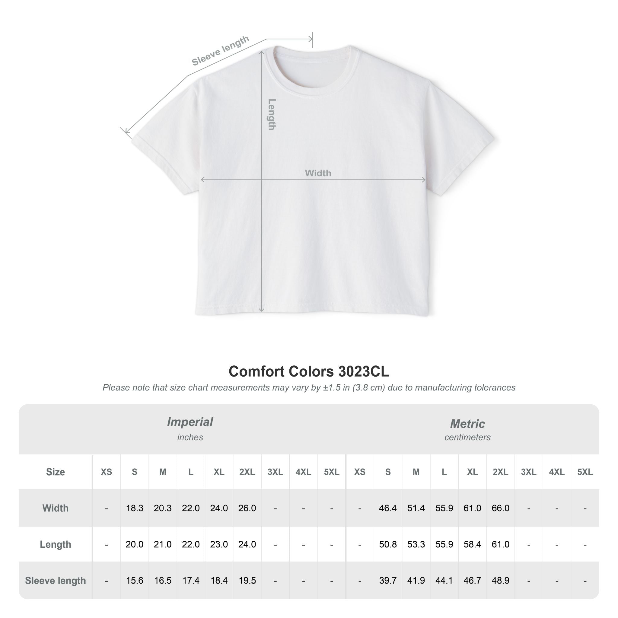 Barnshire CC "Champagne Dogs" Boxy Tee — Cute Dogs & Oysters Graphic